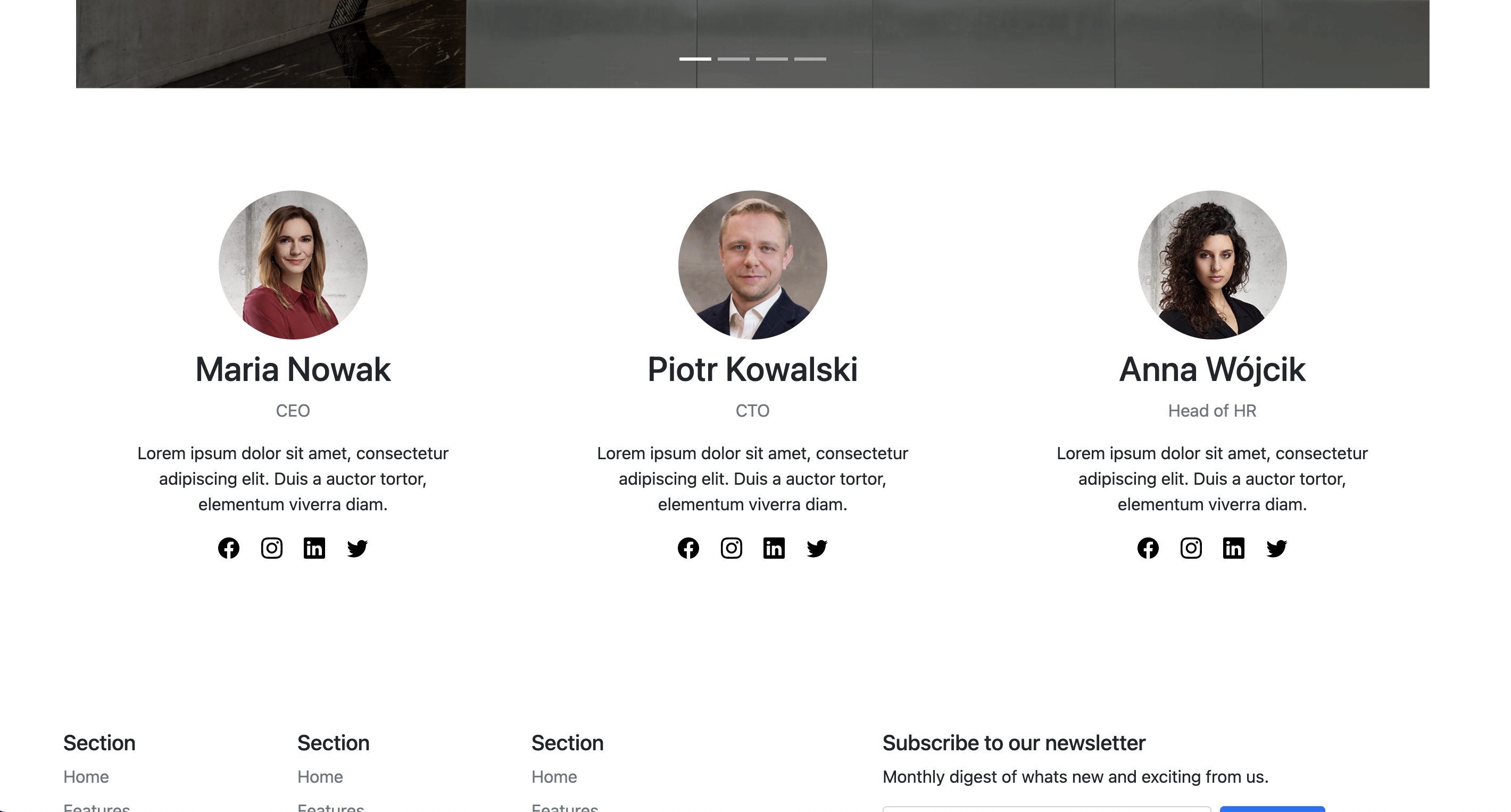 Team - Carousel Team Grid page preview